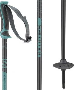 Salomon Arctic Lady Ski Poles - Women's 2023