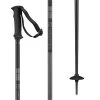 Salomon Arctic Ski Poles
