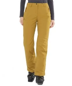 Salomon Brilliant Pants - Women's