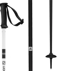 Salomon X North Ski Poles 2023